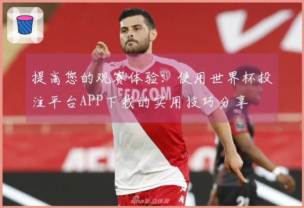 提高您的观赛体验：使用世界杯投注平台APP下载的实用技巧分享