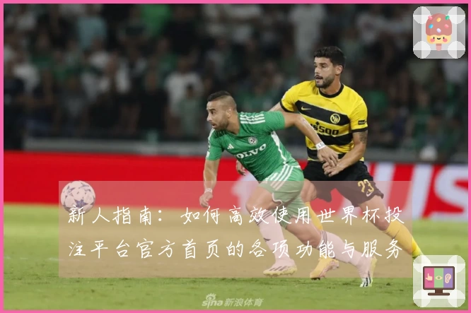 新人指南：如何高效使用世界杯投注平台官方首页的各项功能与服务