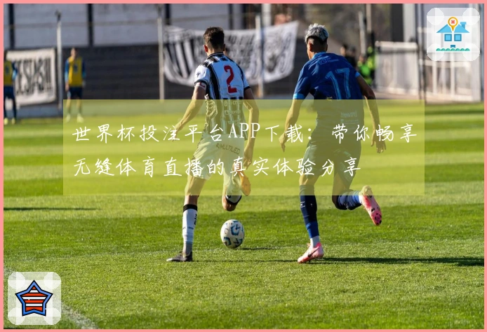 世界杯投注平台APP下载：带你畅享无缝体育直播的真实体验分享