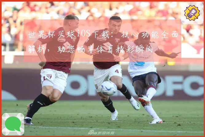 世界杯买球iOS下载：核心功能全面解析，助您畅享体育精彩瞬间