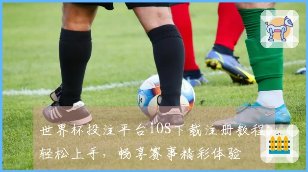 世界杯投注平台iOS下载注册教程：轻松上手，畅享赛事精彩体验