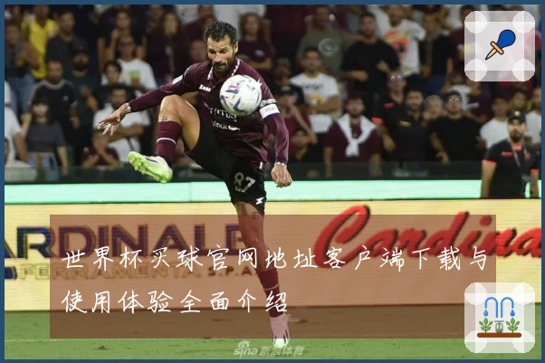世界杯买球官网地址客户端下载与使用体验全面介绍