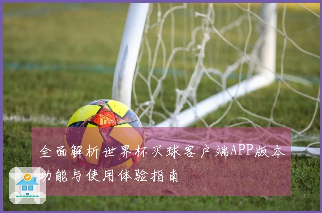 全面解析世界杯买球客户端APP版本功能与使用体验指南