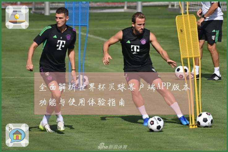 全面解析世界杯买球客户端APP版本功能与使用体验指南