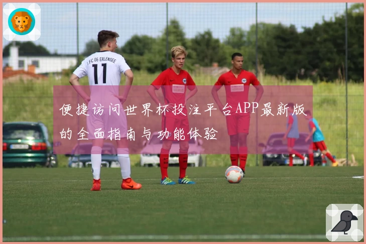 便捷访问世界杯投注平台APP最新版的全面指南与功能体验