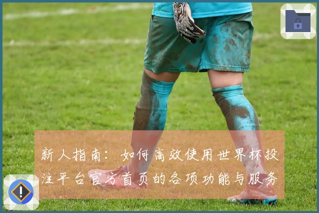 新人指南：如何高效使用世界杯投注平台官方首页的各项功能与服务