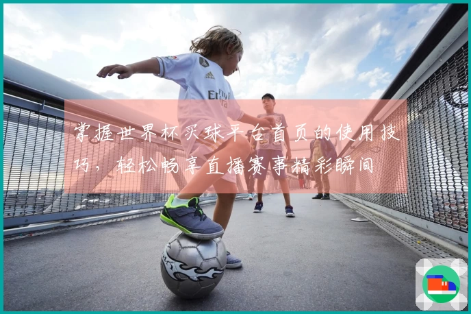 掌握世界杯买球平台首页的使用技巧，轻松畅享直播赛事精彩瞬间