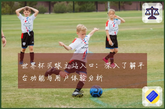 世界杯买球主站入口：深入了解平台功能与用户体验分析