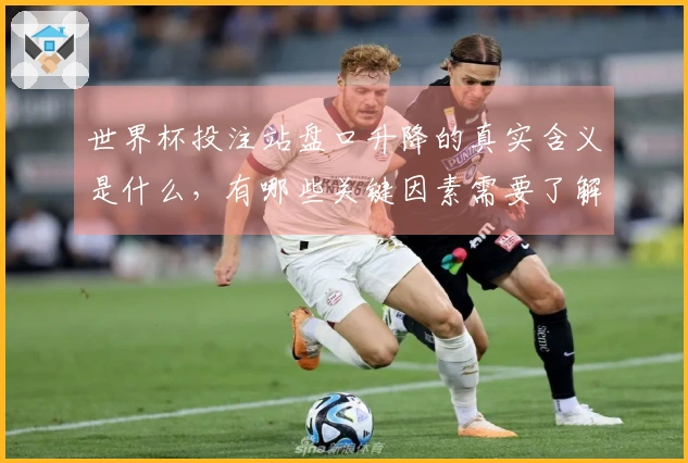 世界杯投注站盘口升降的真实含义是什么，有哪些关键因素需要了解？